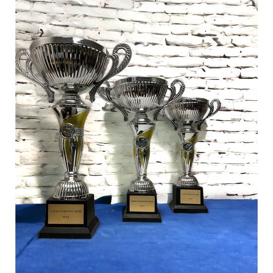 Silver and Gold Cup STL2019/06