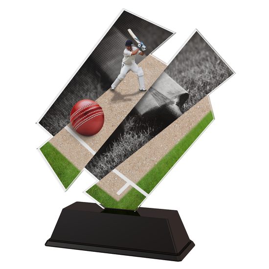 Paris Cricket Trophy