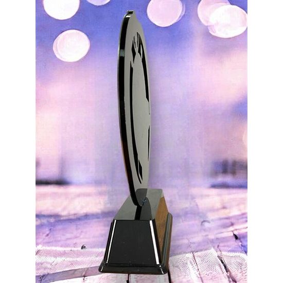 Onyx Stainless Steel Boxing Trophy