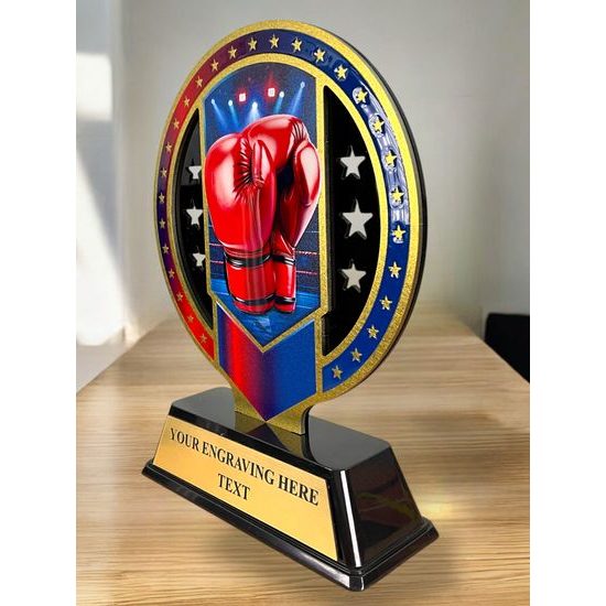 Sentinel Stainless Steel Boxing Arts Trophy