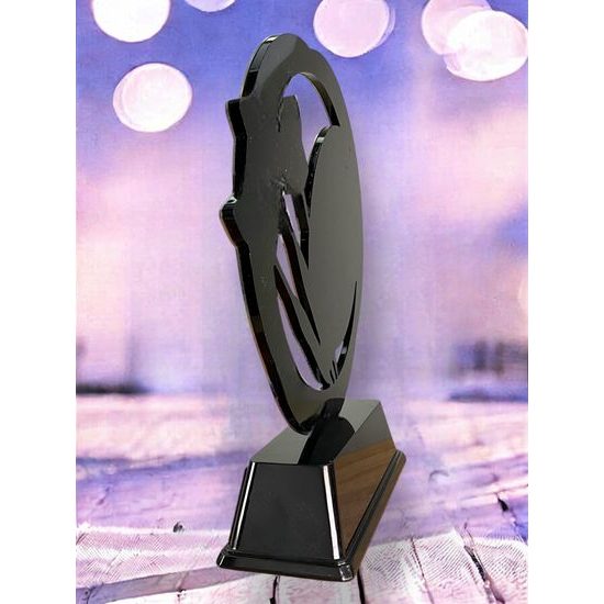 Onyx Stainless Steel Darts Trophy