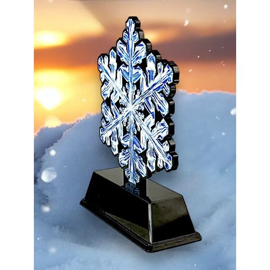 Roswell Black Acrylic Snowflake Trophy