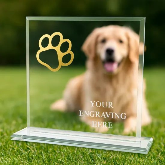 Titanium Glass and Metal Fusion Dog Paw Trophy