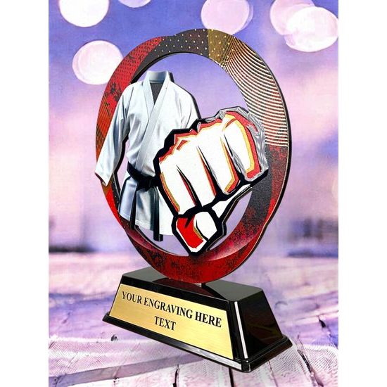 Onyx Stainless Steel Martial Arts Trophy