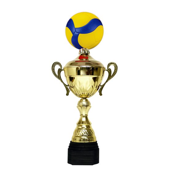 Minot Gold Volleyball Cup