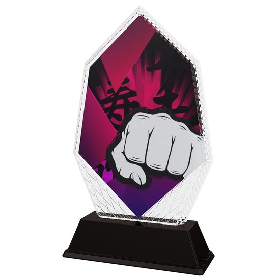 Cleo Martial Arts Fist Trophy