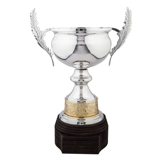 The Mayfair Silver Cup