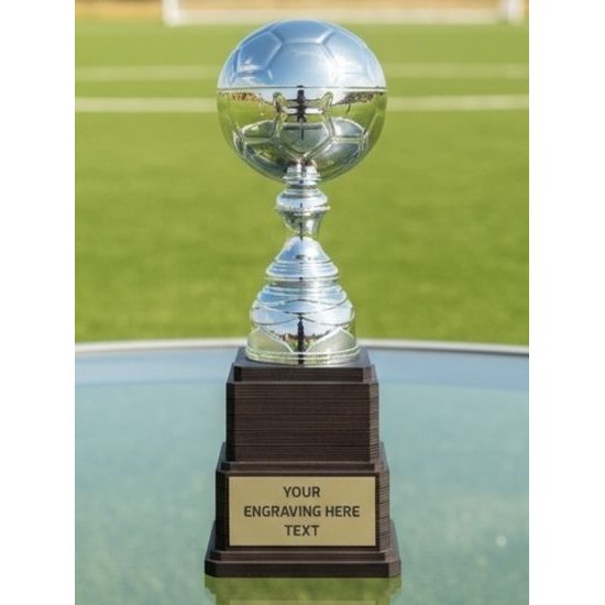 Sealy Tower Silver Soccer Trophy