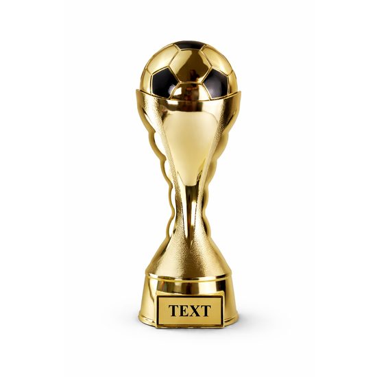 Houston Soccer Trophy
