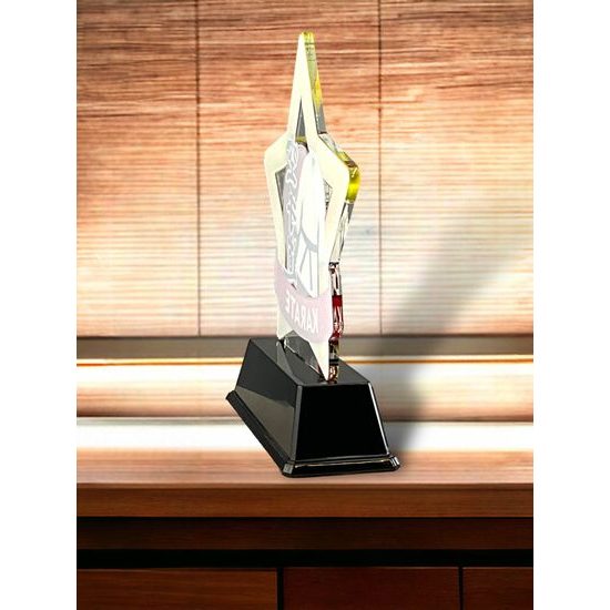 Mini Star Karate Trophy