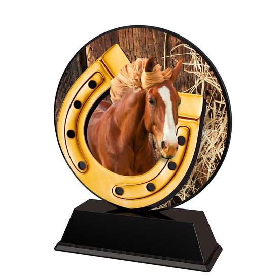 Roswell black acrylic Equestrian trophy