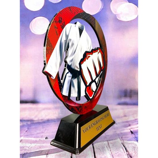 Onyx Stainless Steel Martial Arts Trophy