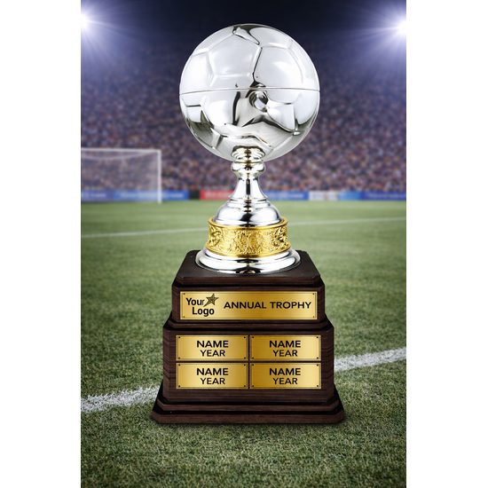 Arena Silver Ball Trophy