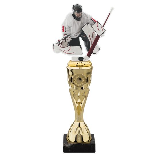 Ice Hockey Acrylic Top Trophy