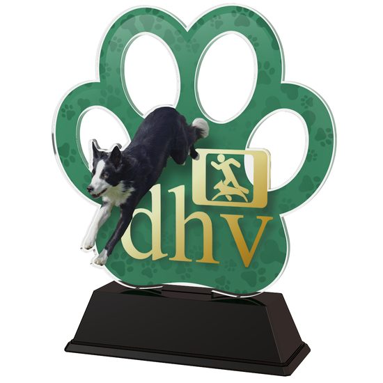 Edison Logo Custom Made Acrylic Award