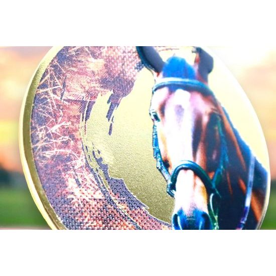 Sacul Horse Color Texture 3D Print Medal