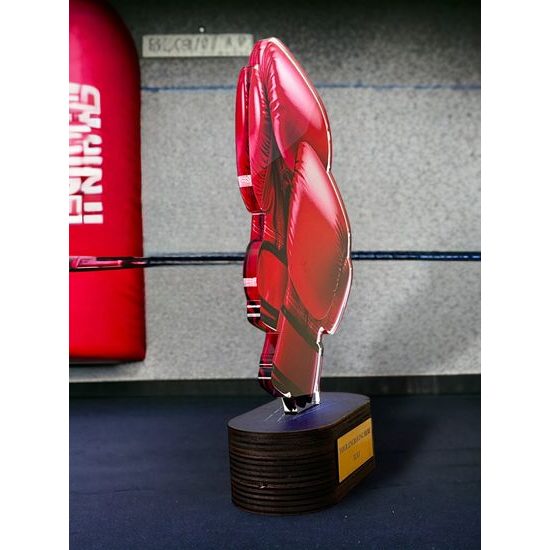 Altus Color Boxing Trophy
