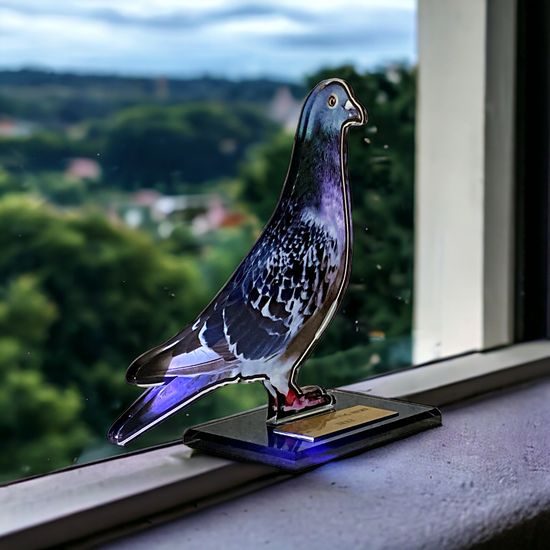 Cannes Printed Acrylic Pigeon Trophy