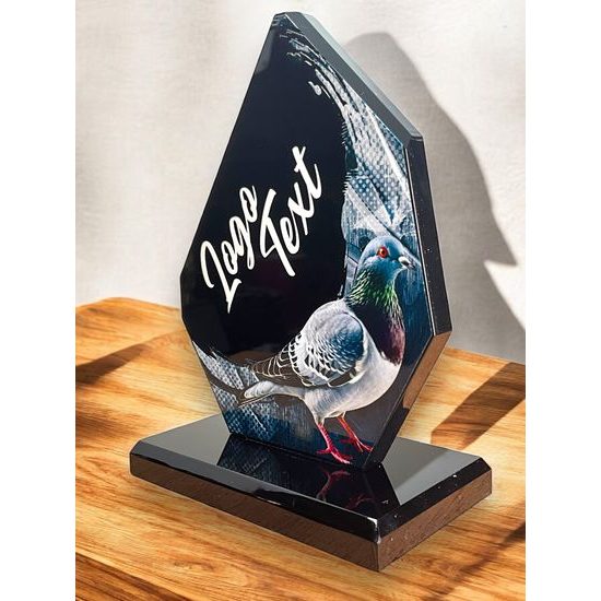 Destin Pigeon Racing Acrylic Award