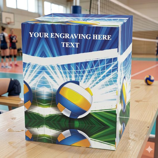 Nolan Volleyball Crystal Award