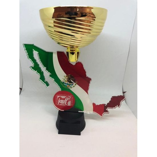 Stephenson Custom Made Trophy Cup