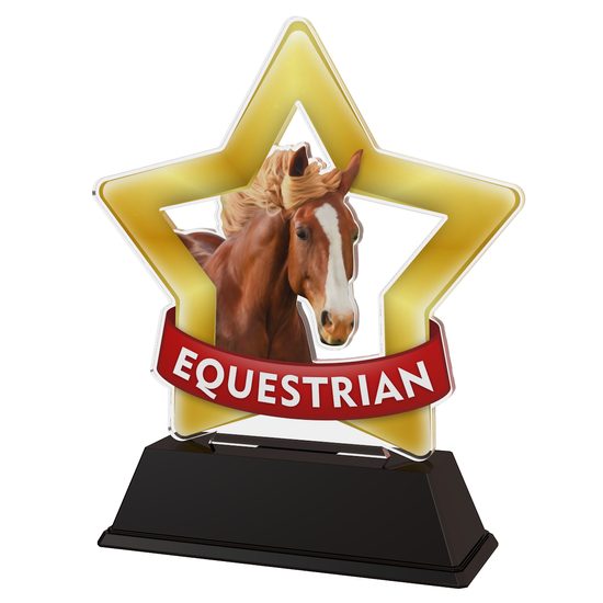 Mini Star Equestrian Horse Head Trophy