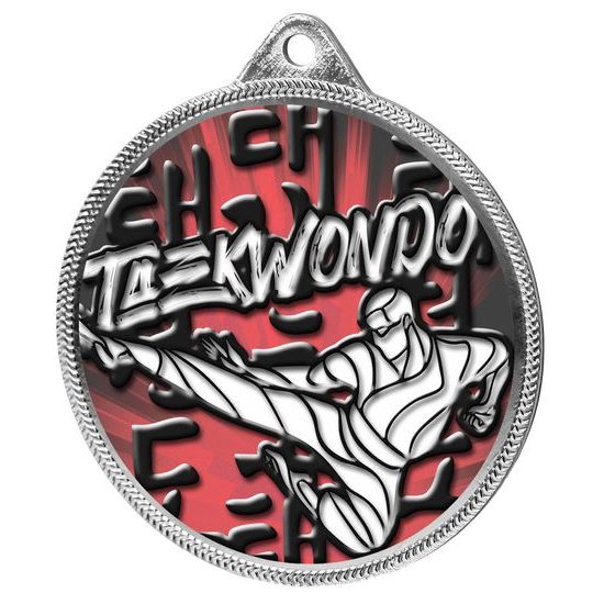 Taekwondo Color Texture 3D Print Silver Medal