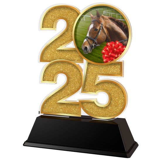 Horse Riding 2025 Trophy