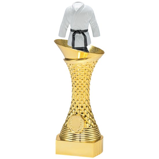 Gold Karate Trophy with 3D Colour Top