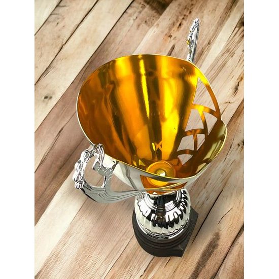 Lamar Silver and Gold Laser Cup