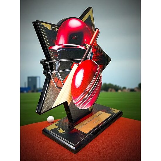 Liano Stainless Steel Cricket Trophy
