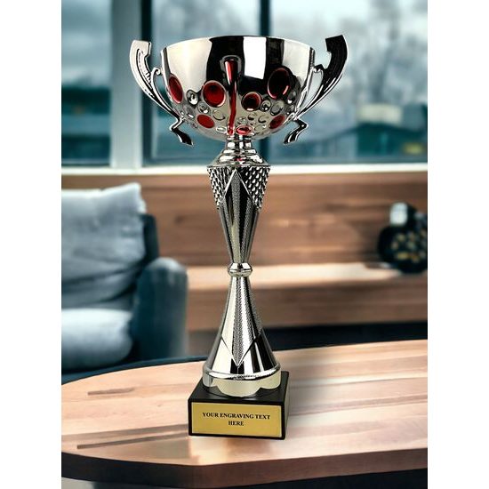 Vidor Silver and Red Cup