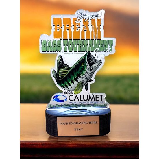 Montana Custom Made Acrylic & Wood Portrait Fusion Award