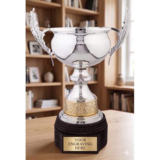 The Mayfair Silver Cup