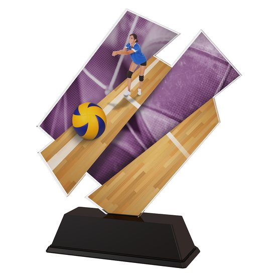 Paris Female Volleyball Trophy