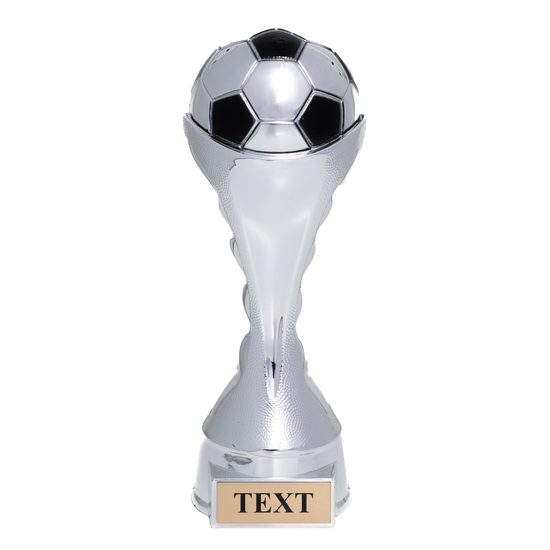 Houston Soccer Trophy