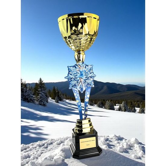 Provo Ice Skating Gold Trophy