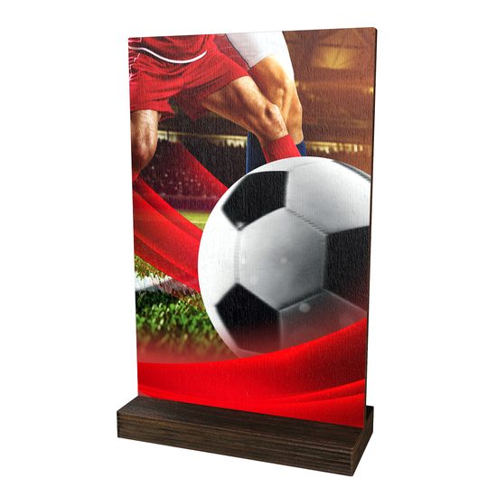 Sherwood Soccer Eco Friendly Wooden Trophy