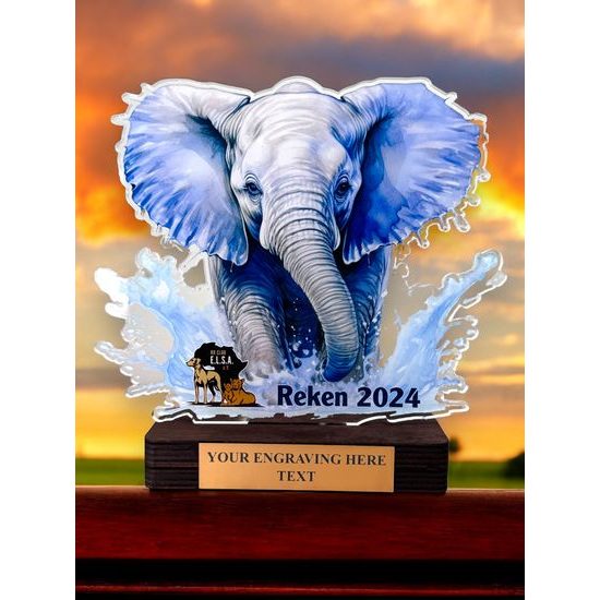 Arusha Custom Made Acrylic & Wood Portrait Fusion Award