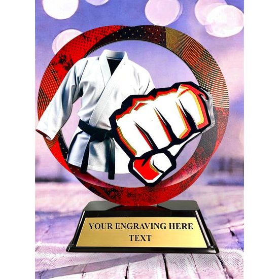 Onyx Stainless Steel Martial Arts Trophy