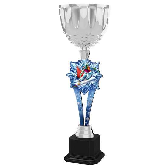 Provo Snowboard Silver Trophy