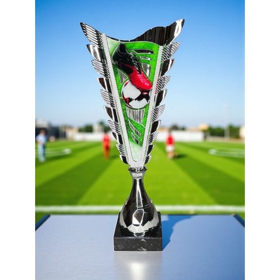 Chester Soccer Silver Trophy