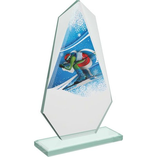 Levita Skiing Color Glass Award