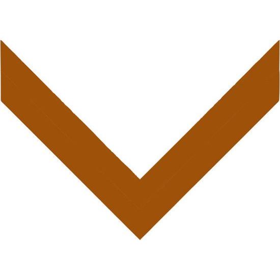 Bronze Ribbon