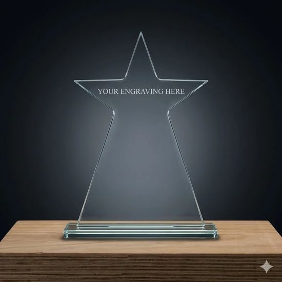 Tinnie Star Crystal Award