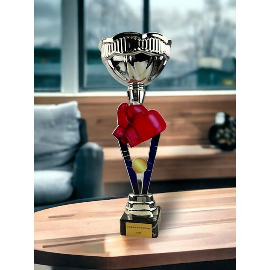Napoli Boxing Silver Cup Trophy