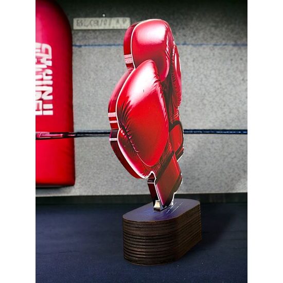 Altus Color Boxing Trophy