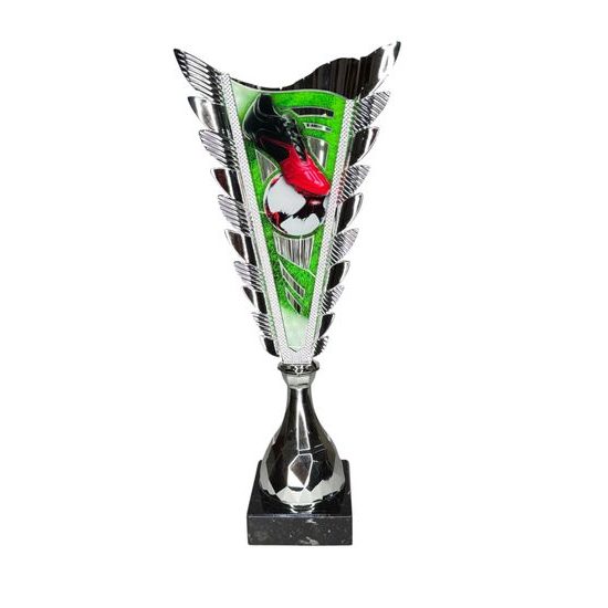 Chester Soccer Silver Trophy