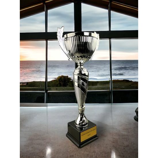 Denver Silver Cup on a Black PVC Base