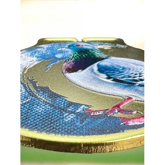 Sacul Pigeon Color Texture 3D Print Medal